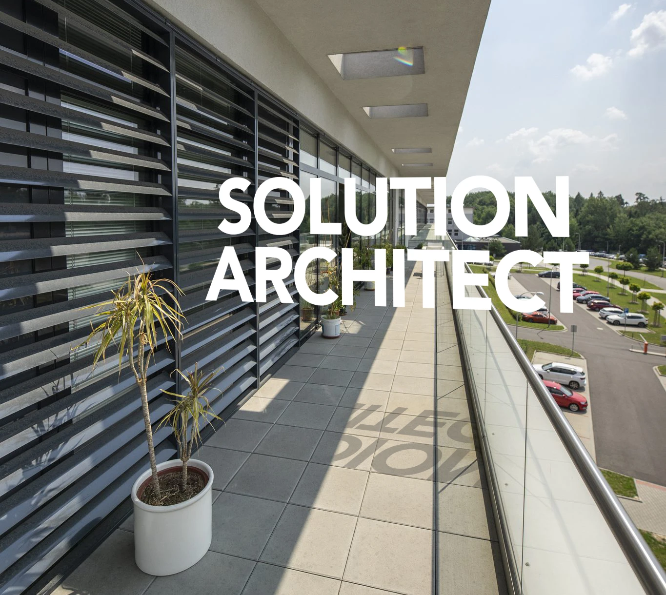 Solution Architect