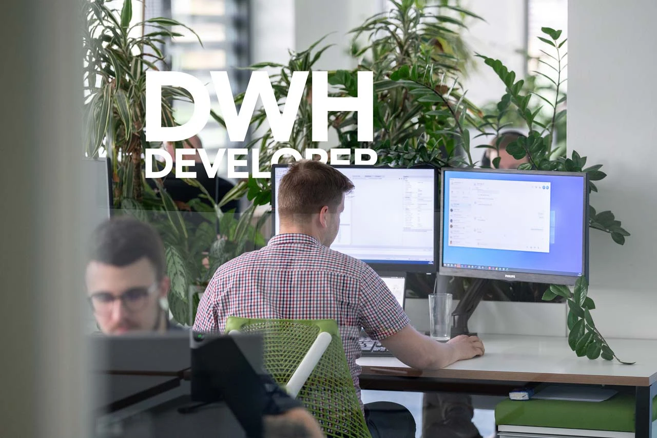 DWH Developer