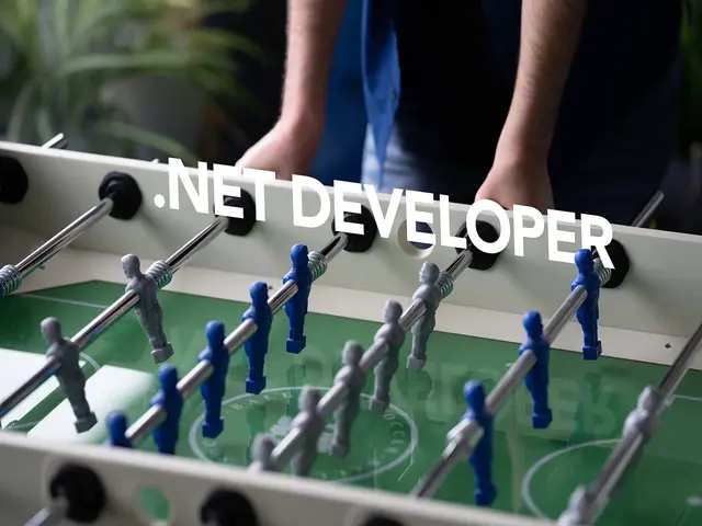 .NET Developer