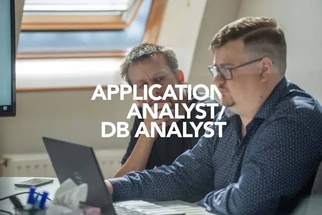 Application analyst / DB analyst